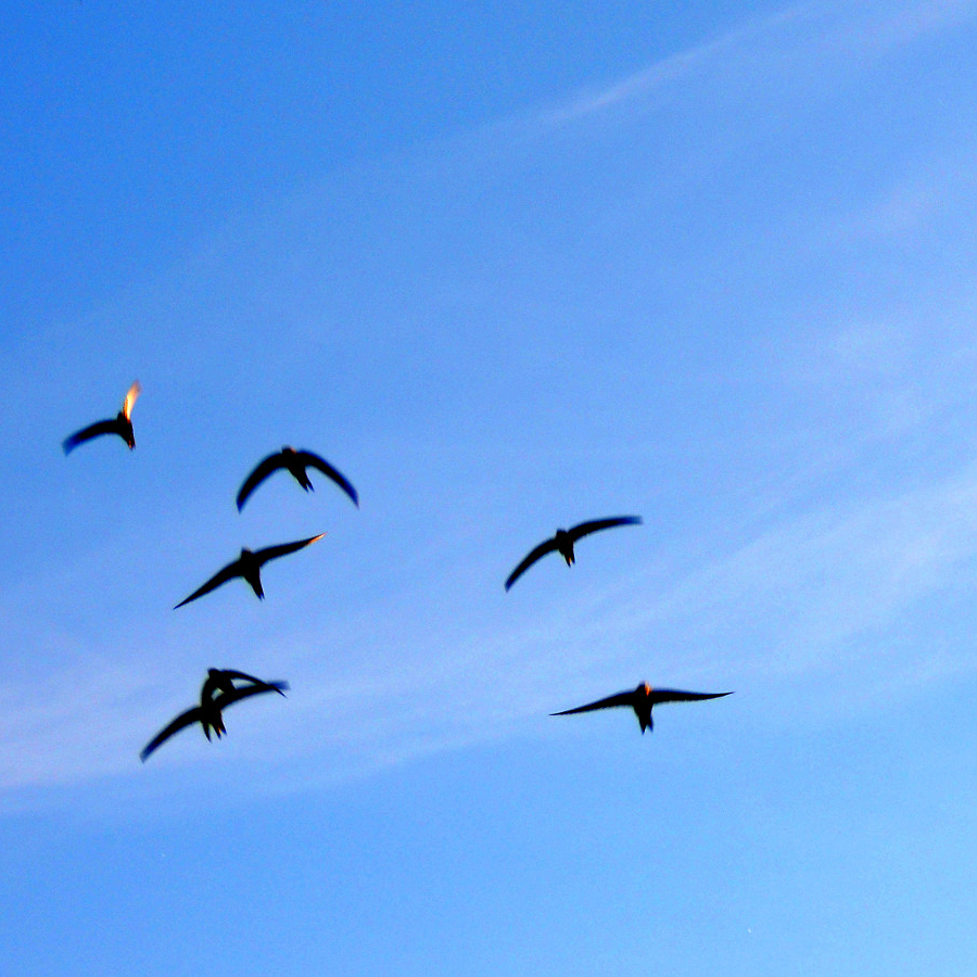 Vorbereitungen für den Anflug