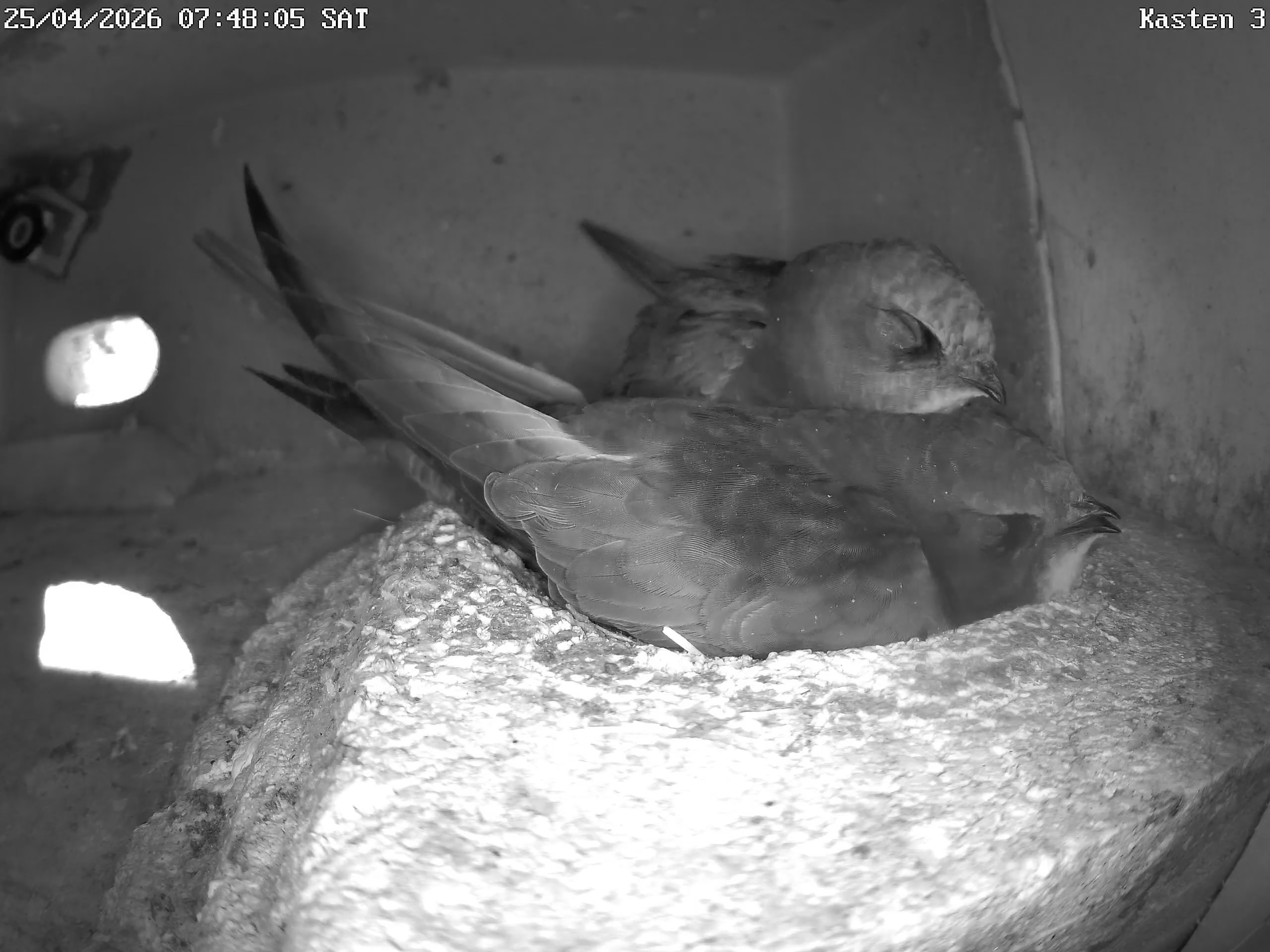 Die ersten Besucher sind da!