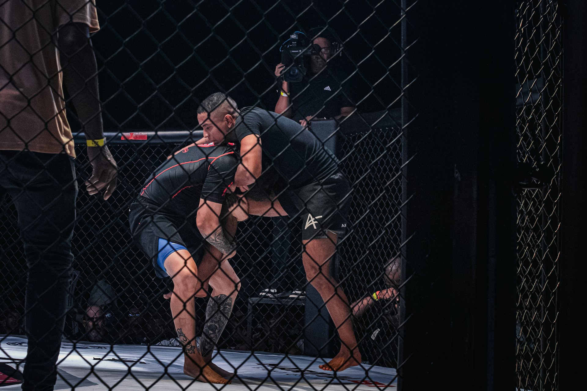 Cage Fight